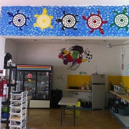 Hostal Vive La Vida プレヤデルカーメン エクステリア 写真