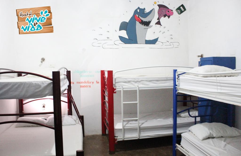 Hostal Vive La Vida プレヤデルカーメン エクステリア 写真