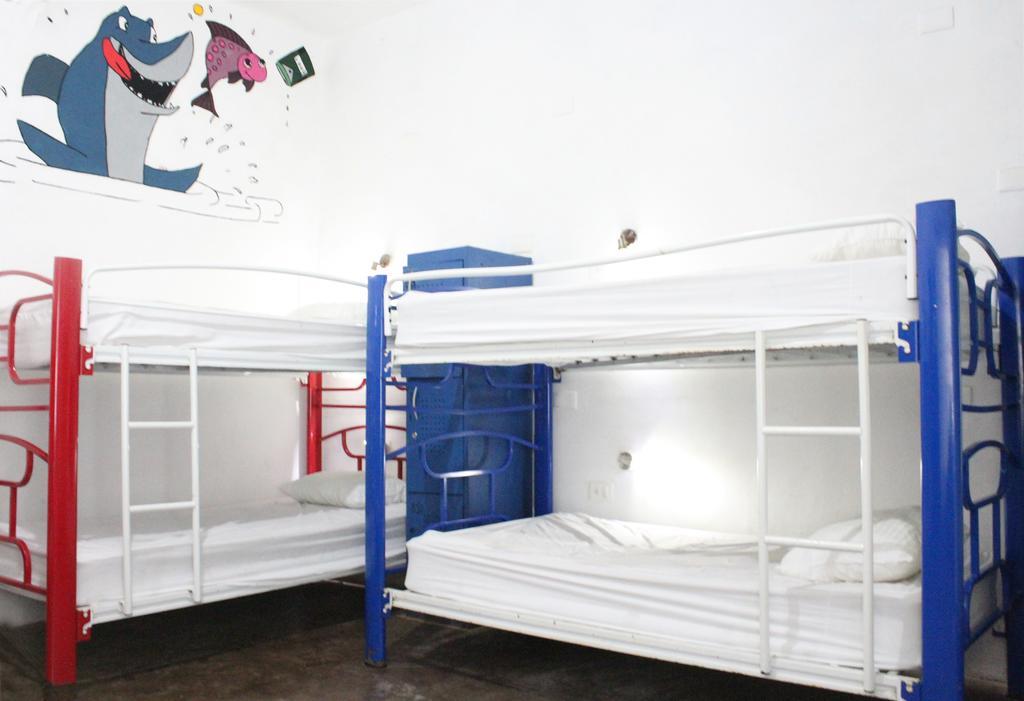Hostal Vive La Vida プレヤデルカーメン エクステリア 写真