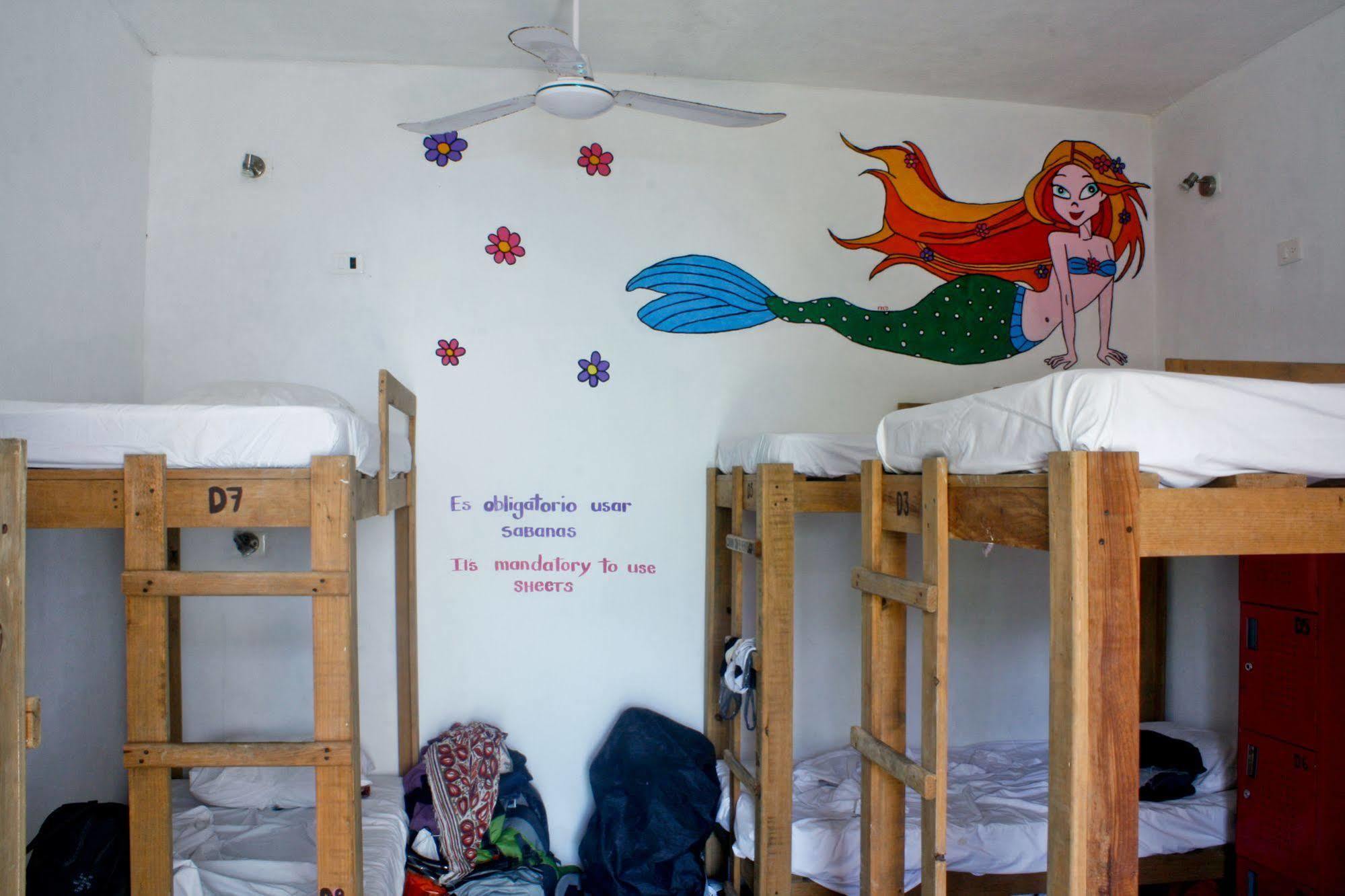 Hostal Vive La Vida プレヤデルカーメン エクステリア 写真