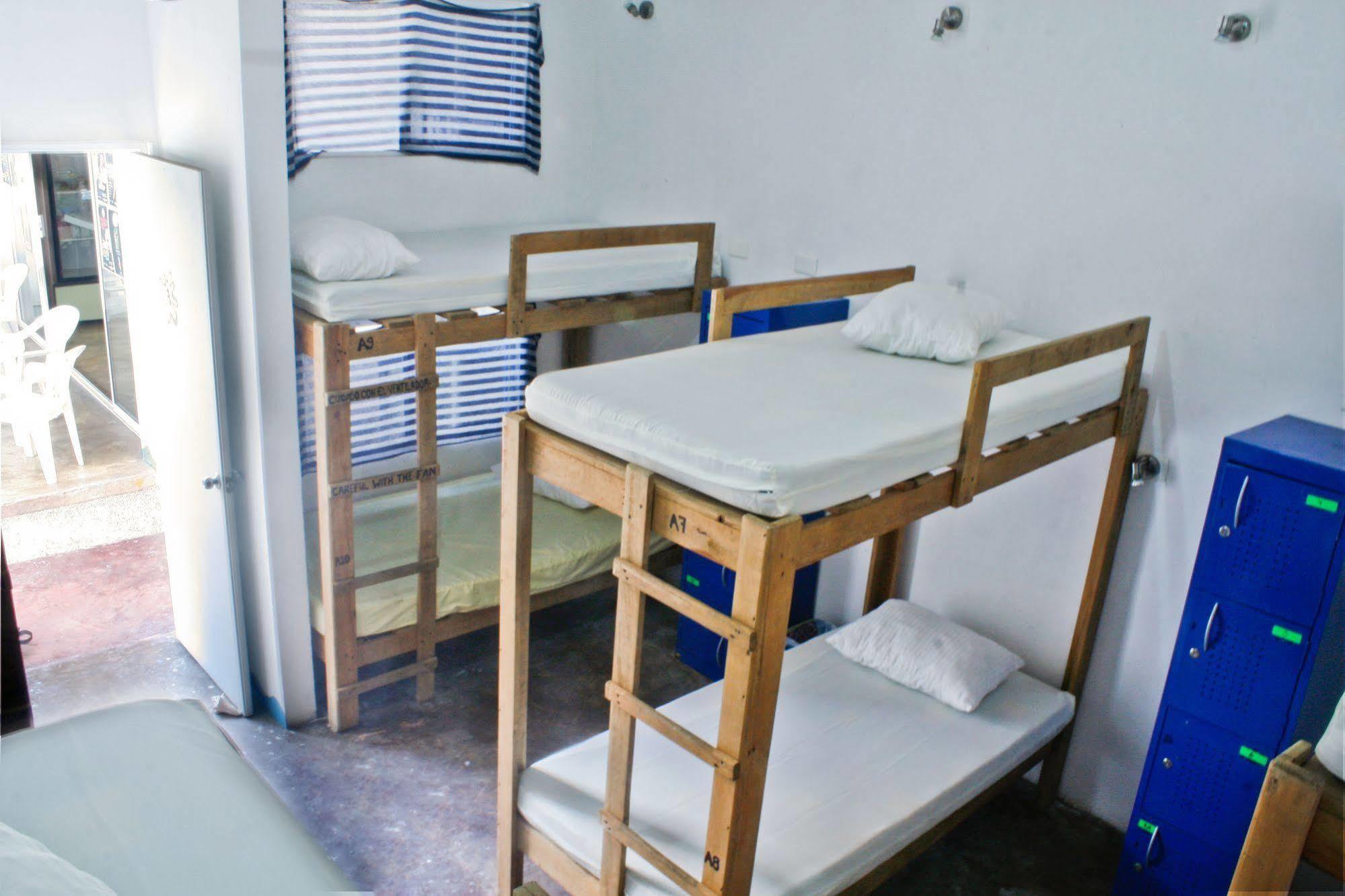 Hostal Vive La Vida プレヤデルカーメン エクステリア 写真
